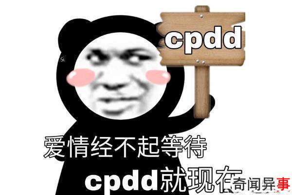 cpddʲô˼?Ϸõ(ļд)