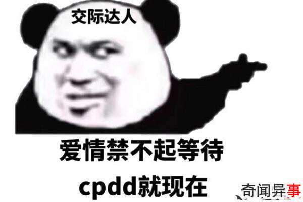 cpddʲô˼?Ϸõ(ļд)